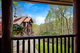 245 Davenport Mountain Road, Blue Ridge, GA 30513 - Photo 69