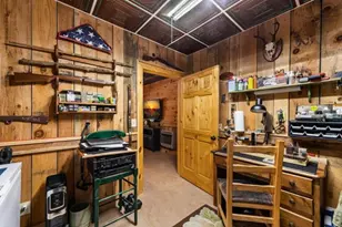 245 Davenport Mountain Road, Blue Ridge, GA 30513 - Photo 45