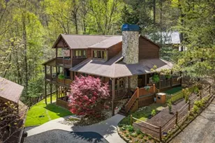 245 Davenport Mountain Road, Blue Ridge, GA 30513 - Photo 3