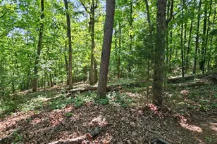 5510 Whitehall Rd, Lula, GA 30554 - Photo 7