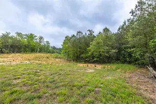 51 Paul Harris Rd, Dallas, GA 30157 - Photo 1