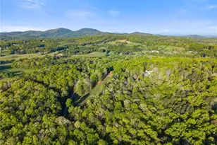 150 Unicorn Trl, Blairsville, GA 30512 - Photo 107