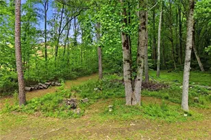 2347 Ball Ground Hwy, Canton, GA 30114 - Photo 49