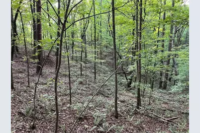 1720 Rebekah Ridge Road, Talking Rock, GA 30175 - Photo 1