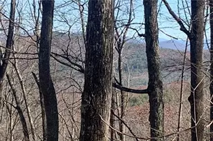 102 Badger Rd, Blairsville, GA 30512 - Photo 1