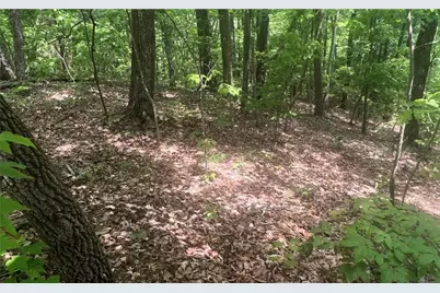 102 Badger Road, Blairsville, GA 30512 - Photo 5