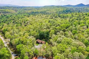 303 Pine Ln, Mineral Bluff, GA 30559 - Photo 63