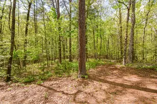 303 Pine Ln, Mineral Bluff, GA 30559 - Photo 67