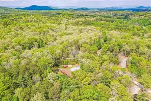 303 Pine Ln, Mineral Bluff, GA 30559 - Photo 65