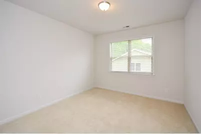 151 Rolling Hills Place, Canton, GA 30114 - Photo 47
