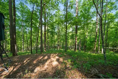 311 Woodland Brook Drive, Canton, GA 30115 - Photo 63