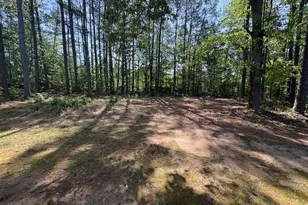 4166 New Towne Dr, Powder Springs, GA 30127 - Photo 41