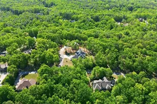 110 Fall Pippin Court, Clarkesville, GA 30523 - Photo 69