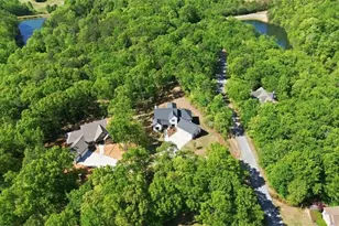 110 Fall Pippin Court, Clarkesville, GA 30523 - Photo 67