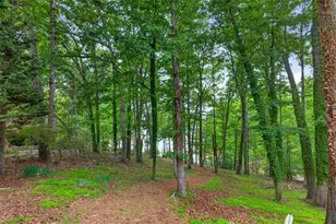 2686 Tammi Ln, Gainesville, GA 30506 - Photo 29