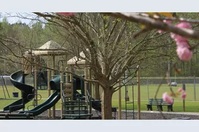 119 Twin Pines Court, Dallas, GA 30132 - Photo 27