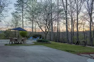 141 Chambers Mountain, Mineral Bluff, GA 30559 - Photo 11
