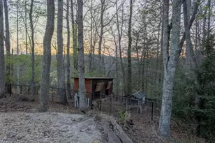 141 Chambers Mountain, Mineral Bluff, GA 30559 - Photo 13