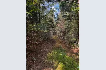 230 Dodgen Road, Hampton, GA 30228 - Photo 3
