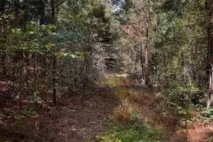 230 Dodgen Rd, Hampton, GA 30228 - Photo 3