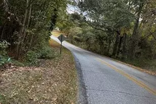 230 Dodgen Rd, Hampton, GA 30228 - Photo 7