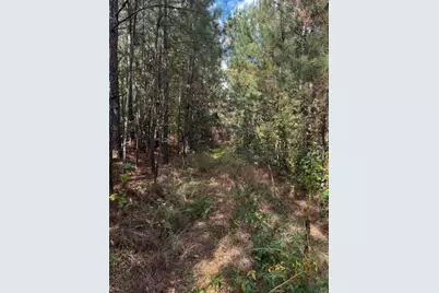 230 Dodgen Road, Hampton, GA 30228 - Photo 1