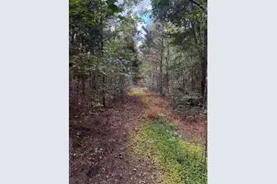 230 Dodgen Road, Hampton, GA 30228 - Photo 5
