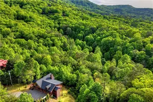 3804 Aska Rd, Blue Ridge, GA 30513 - Photo 57