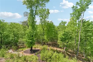 252 Wild Turkey Bluff, Big Canoe, GA 30143 - Photo 65