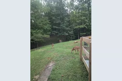 7250 Timber Trail, Cumming, GA 30041 - Photo 73