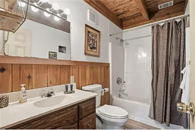 5730 Highway 356, Sautee Nacoochee, GA 30571 - Photo 31