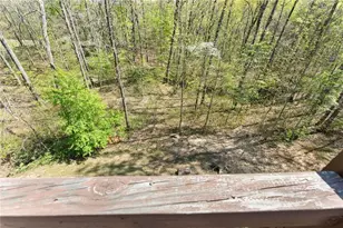 334 Old White Oak Trail, Dawsonville, GA 30534 - Photo 33