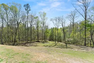 334 Old White Oak Trail, Dawsonville, GA 30534 - Photo 57