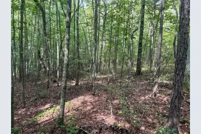 0 Attaway Road-9.22, Bowdon, GA 30108 - Photo 23