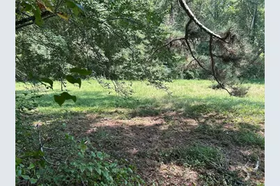 0 Attaway Road-9.22, Bowdon, GA 30108 - Photo 3