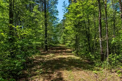 228 Grey Squirrel Point, Talking Rock, GA 30175 - Photo 73