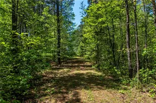 228 Grey Squirrel Point, Talking Rock, GA 30175 - Photo 73