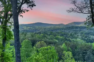 329 Robinson Thomas Rd, Morganton, GA 30560 - Photo 3
