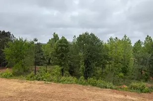 1020 Reagan Dr, Madison, GA 30650 - Photo 31
