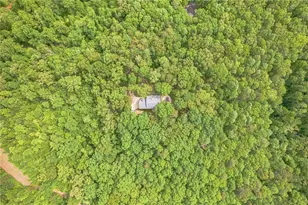 202 Windy Ridge Ct, Dawsonville, GA 30534 - Photo 9