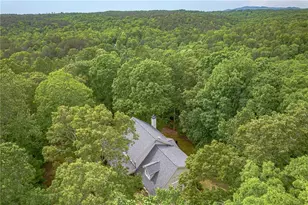 202 Windy Ridge Ct, Dawsonville, GA 30534 - Photo 77
