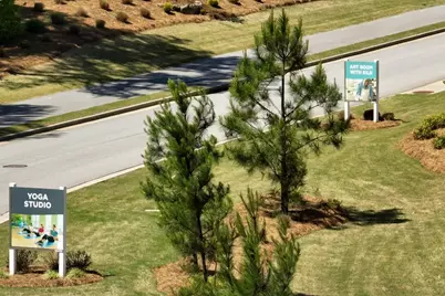 146 Bear Way, Hoschton, GA 30548 - Photo 53