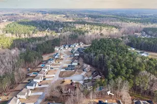 824 Vicki Cir, Bremen, GA 30110 - Photo 43