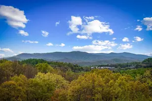 167 Cohutta Sunset Dr, Blue Ridge, GA 30513 - Photo 7