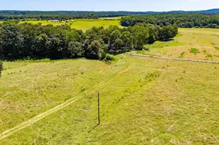 746 Dot Rd, Bowdon, GA 30108 - Photo 89
