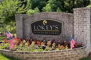 320 Lokeys Ln, Bethlehem, GA 30620 - Photo 67