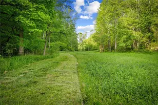 460 Wikle Dr, Ellijay, GA 30540 - Photo 73