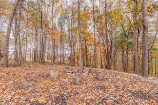 647 Philadelphia Dr, Jasper, GA 30143 - Photo 45
