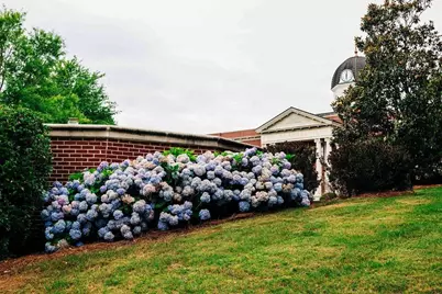 3690 Ivy Cottage Drive, Snellville, GA 30039 - Photo 39