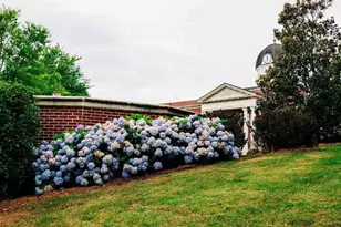 3690 Ivy Cottage Dr, Snellville, GA 30039 - Photo 39